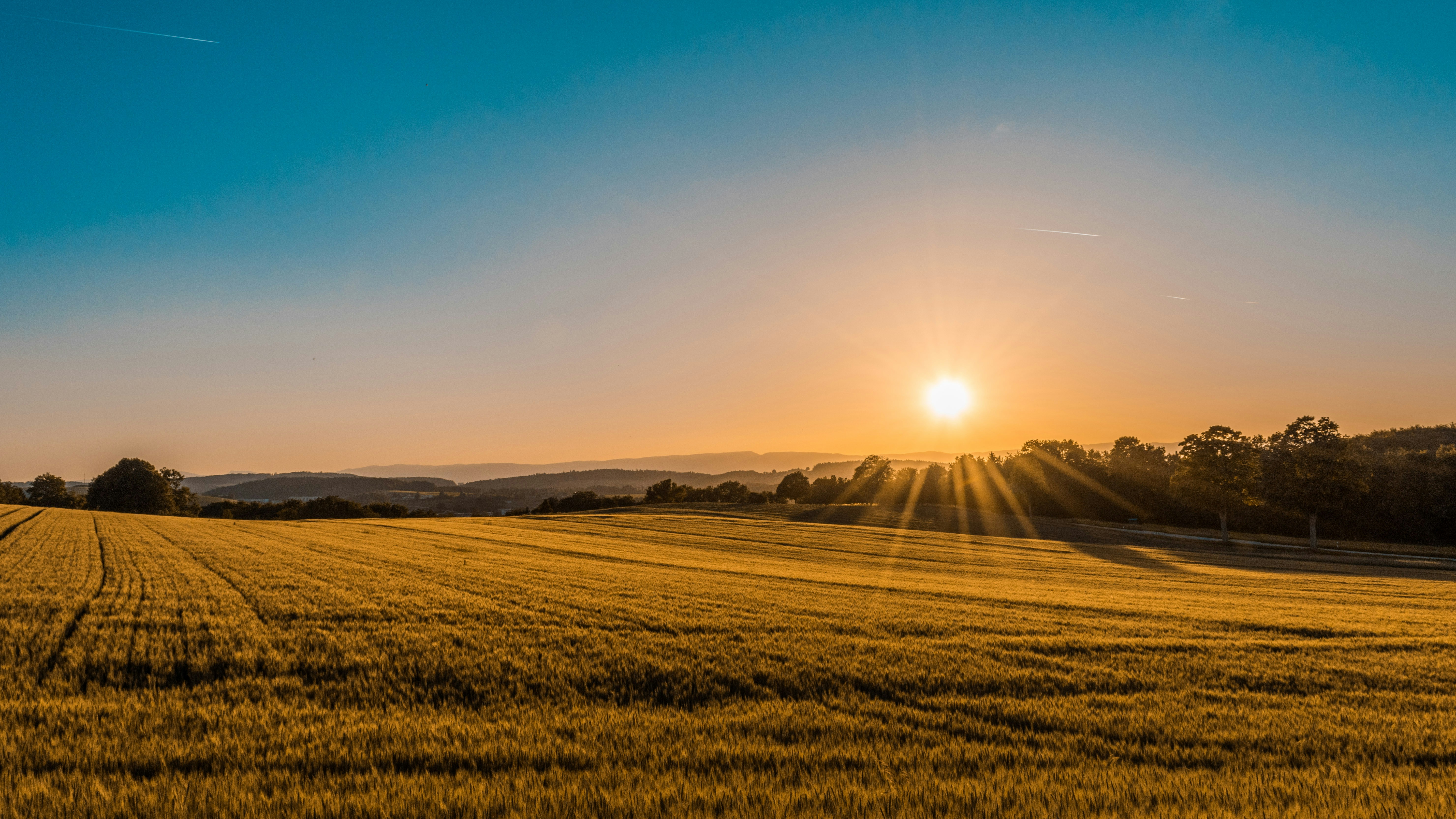 Tanzanian grain fields at sunrise